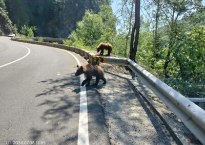 motoAdventureRiders rumania