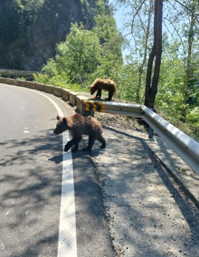 motoAdventureRiders rumania