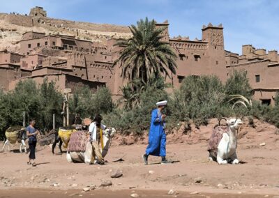 motoadventureriders haddou